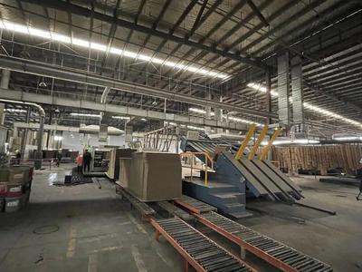 金山的她，荣登上海市表彰名单 纸制品销售领域的卓越典范